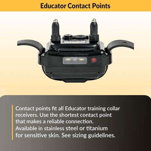 Educator short titanium - short,